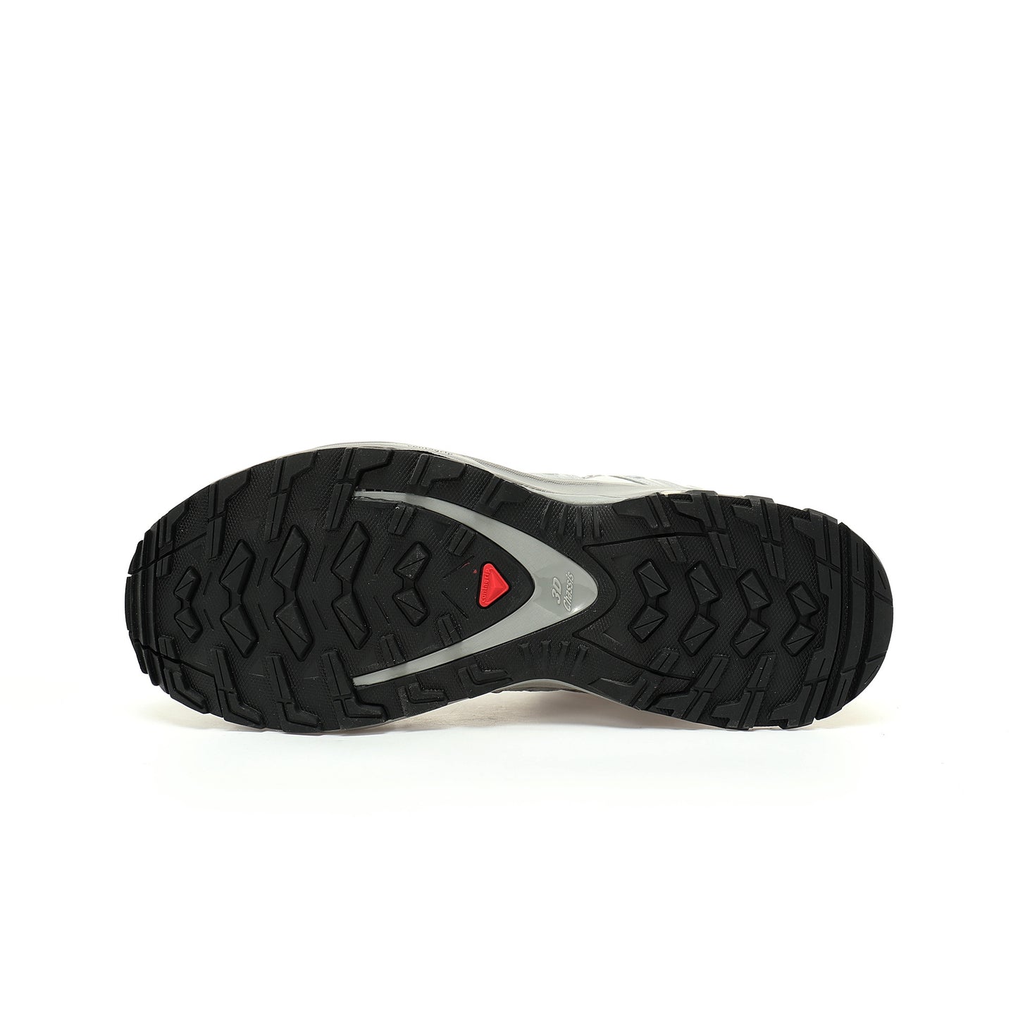 SALOMON XA PRO 3D GTX   Silver/Grey